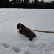 Monica Havanais (11)